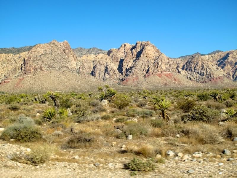 LeavingVegas1_46c49464faf711d4b86c4d3dc5cdf5ed580aedd4.jpg