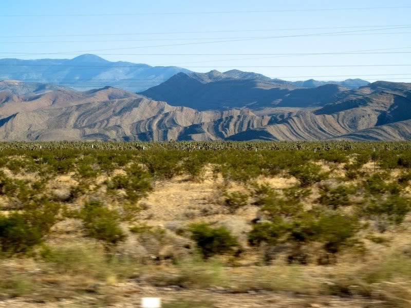 LeavingVegas3_87f5d1a3f127de3c3de51c4a1f597bf9f7c0012c.jpg