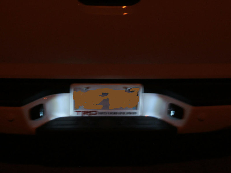 LED 005.jpg