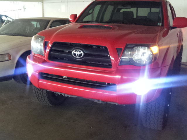 led fogs.jpg