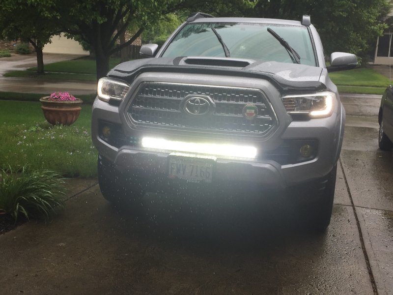 LEDLight.jpg
