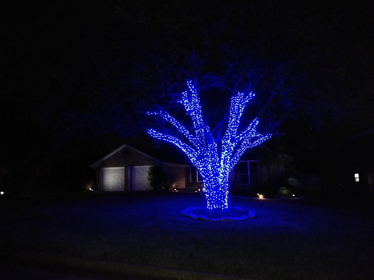 LEDTree1.jpg