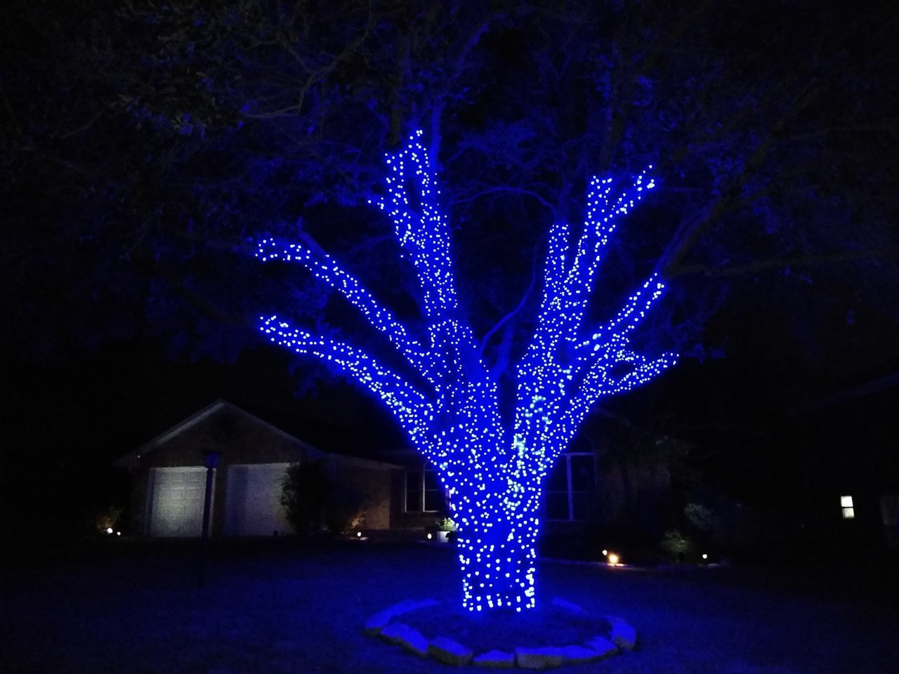 LEDTree2.jpg
