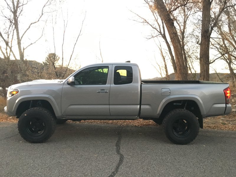 Left Side profile 2.jpg