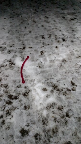 leftover toy.jpg