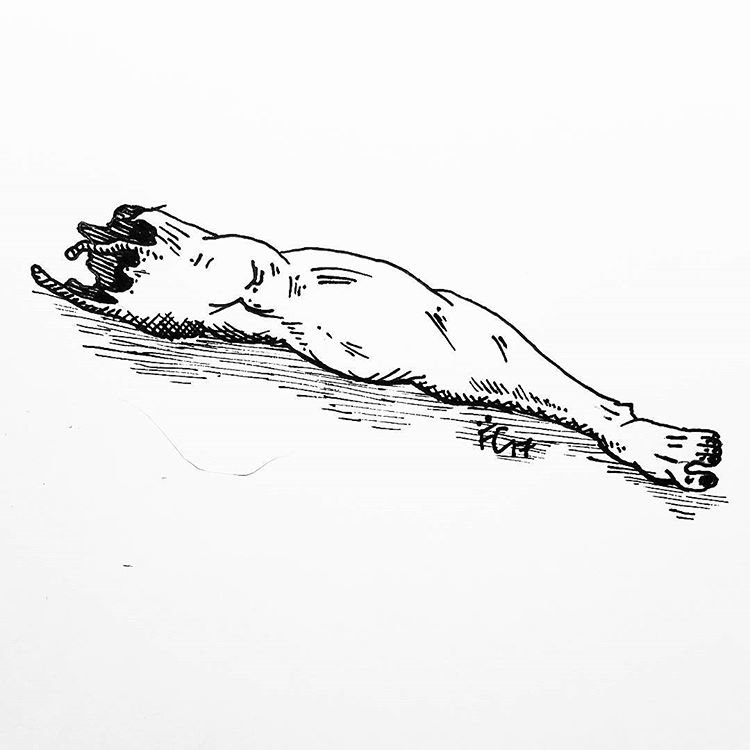 leg.jpg