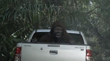 Legalgorillaintruck_zpsc03df5a0_7ac88cef06c281256225f0721272dd1050ec0eba.jpg