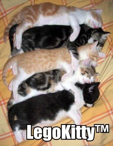 legokitty_025cc8b8737f64e18046e8debe0adb9c8fbf648e.jpg