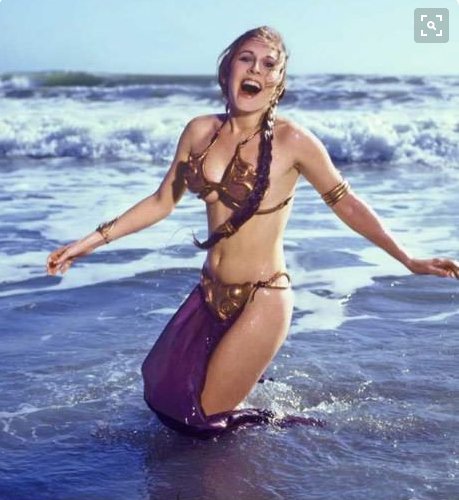 leia.jpg
