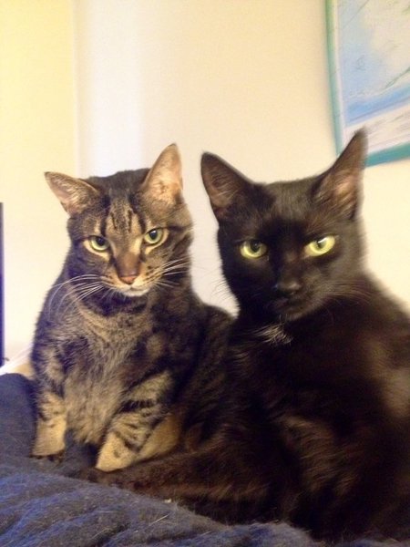 Leo and Lola.jpg