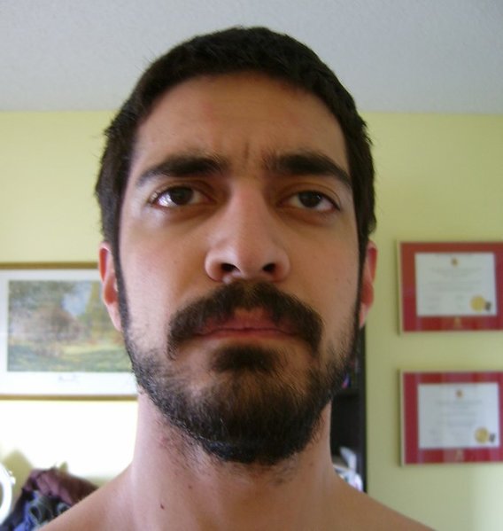 Leonidas.jpg