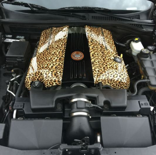 Leopard_01_Valve_Cover_fe0173887acfdba95d354c739d1425571846508b.jpg