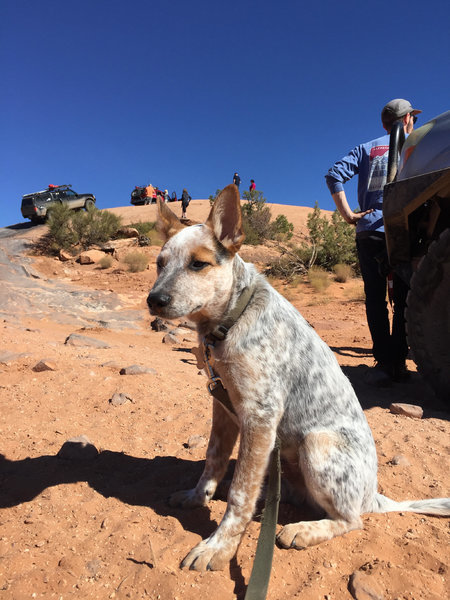Leroy-Moab.jpg