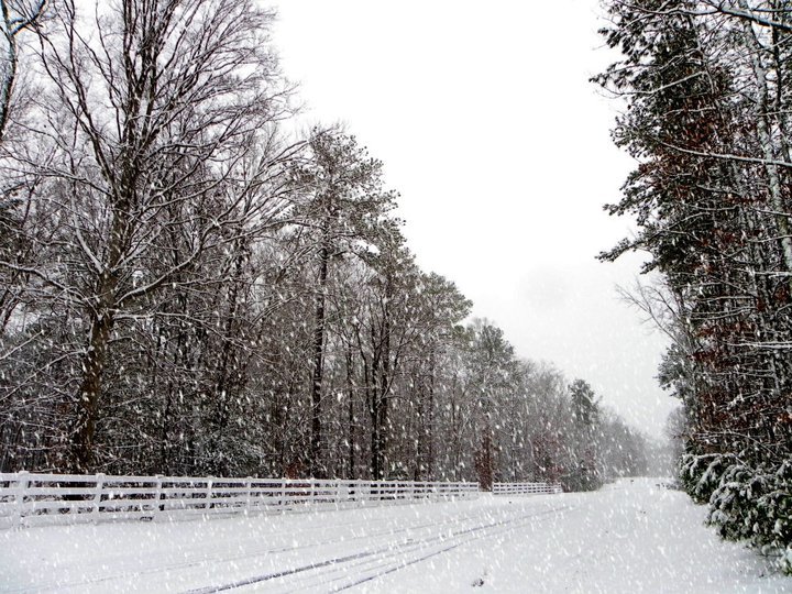 Let it snow 2.jpg