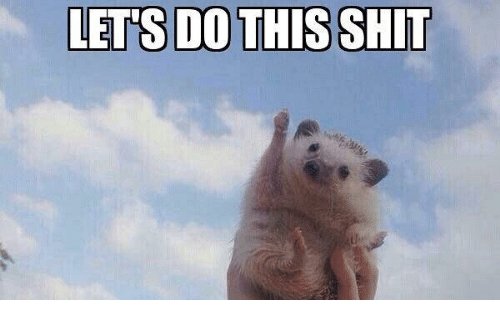lets-do-this-shit-14052481.jpg