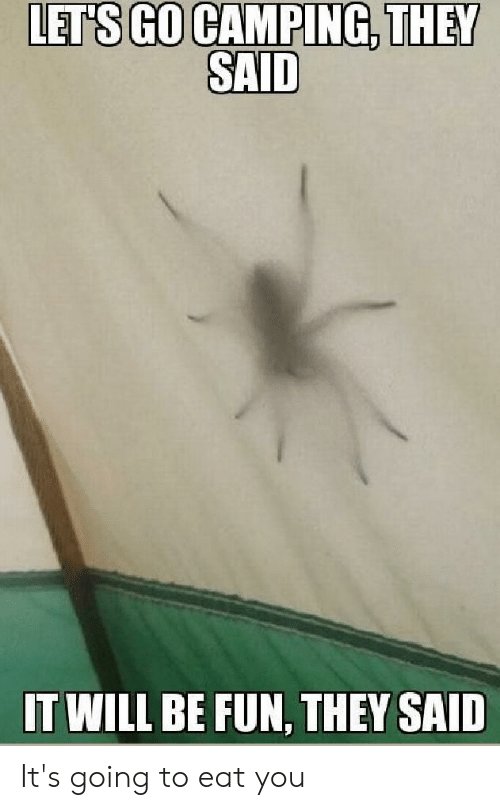 lets-go-camping-they-said-it-will-be-fun-they-65807877.jpg