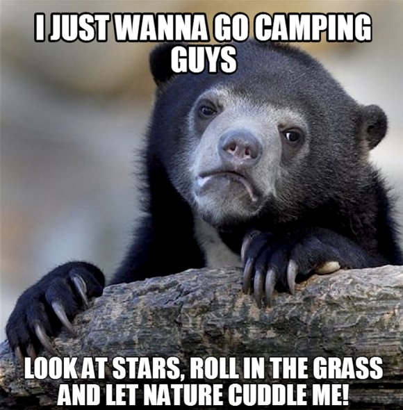 letsgocamping.png