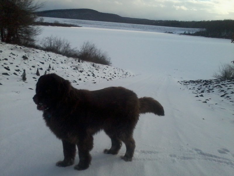 Lexi at stillwater Dam 1-17.jpg