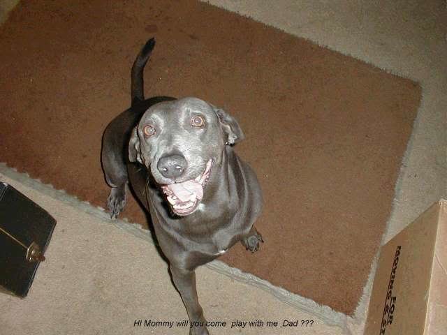 LEXY_6d6b7e969639a0e1c230ca09da36ab576e68a1bd.jpg