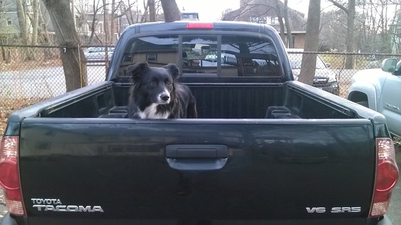 Li in the Truck.jpg