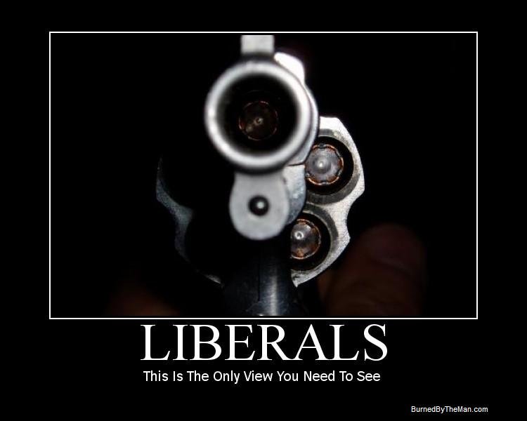 liberals-gun-moral-poster-liberal-demotivationalview[1].jpg