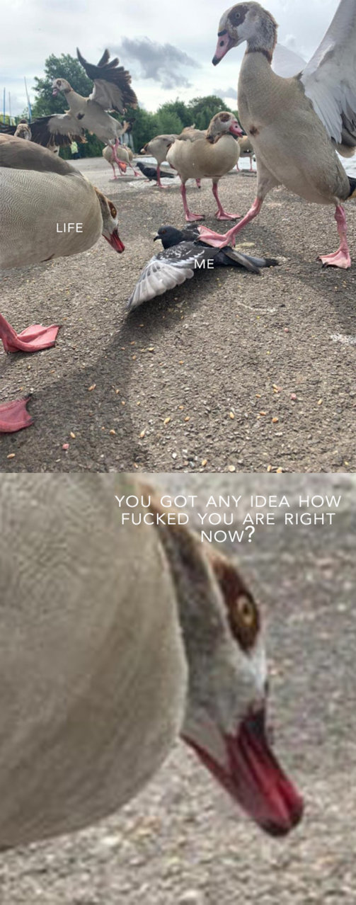 life.jpg