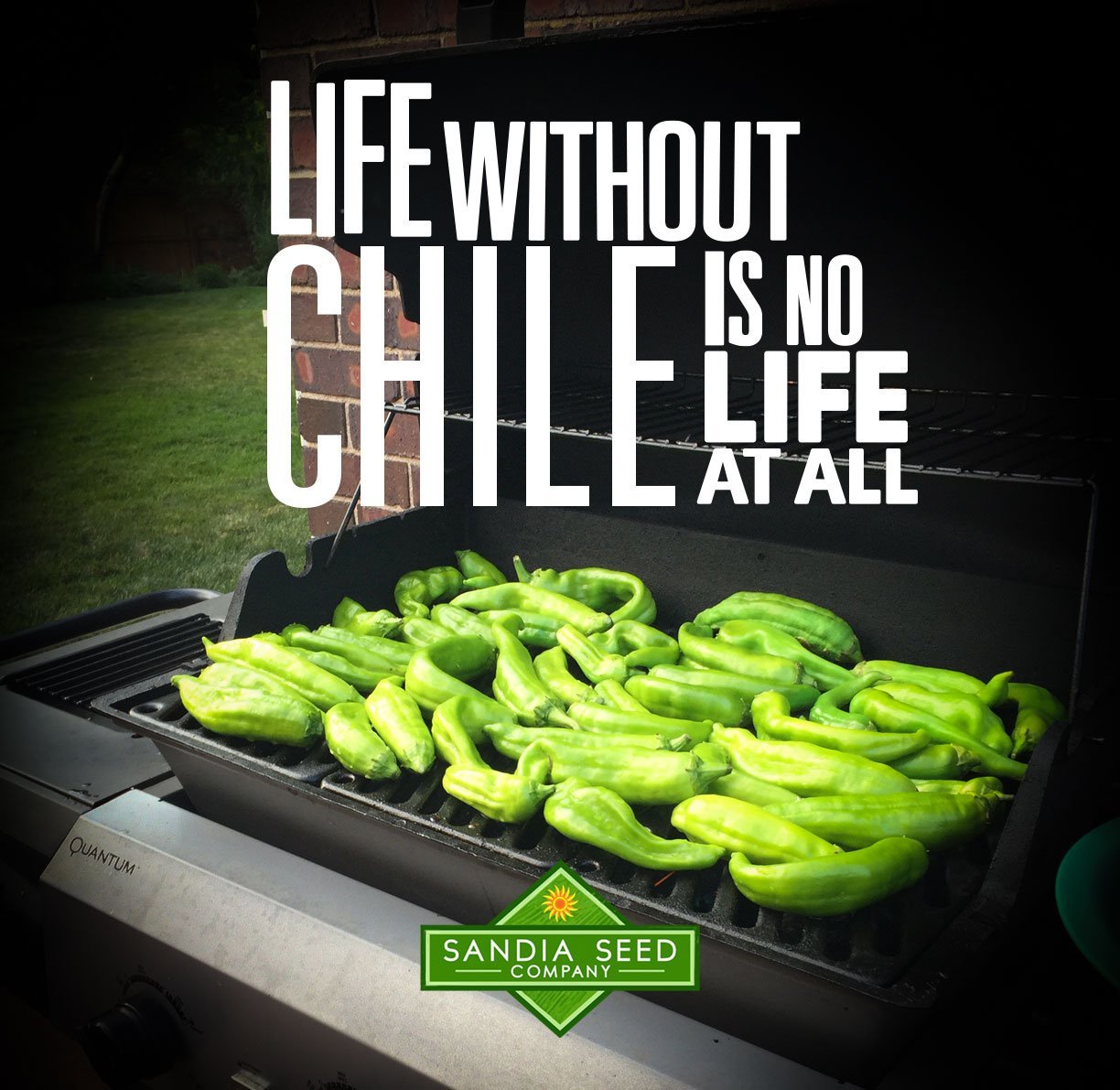 life-without-chile.jpg