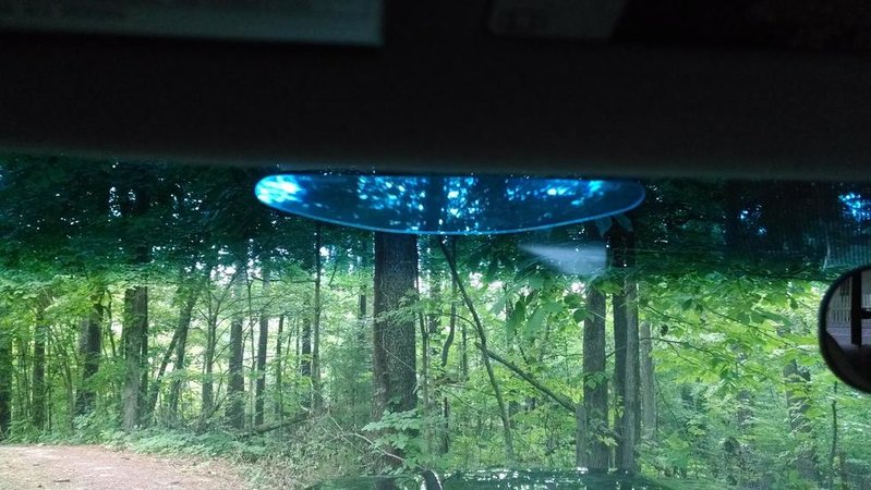 Light in Sight.jpg