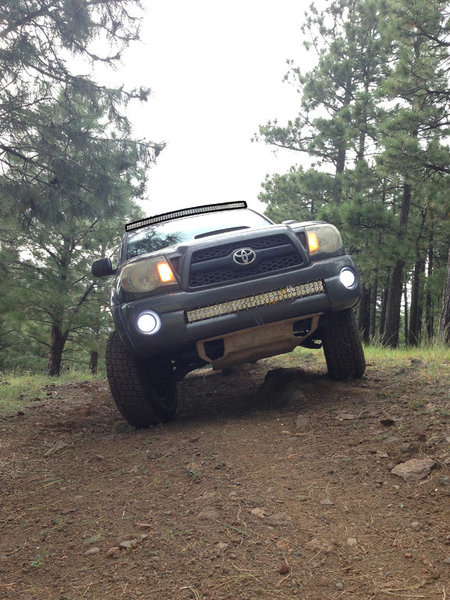 lightbars.jpg