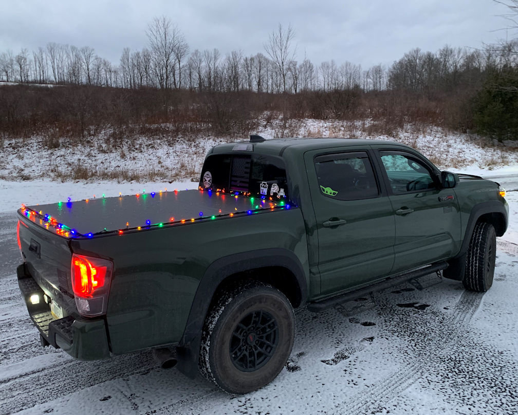 Lights 1.jpg