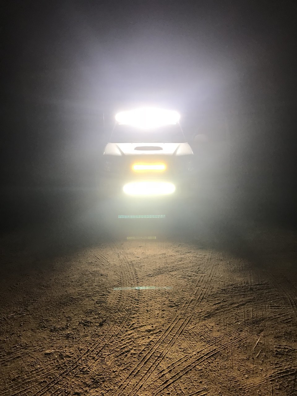 lights 2.jpg