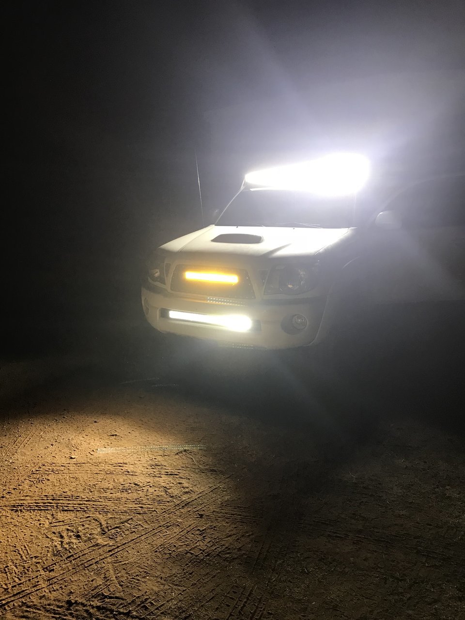 lights 3.jpg