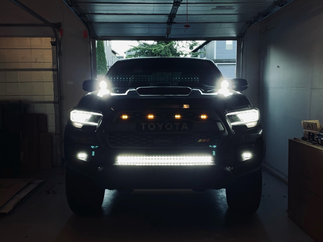 lights.jpg