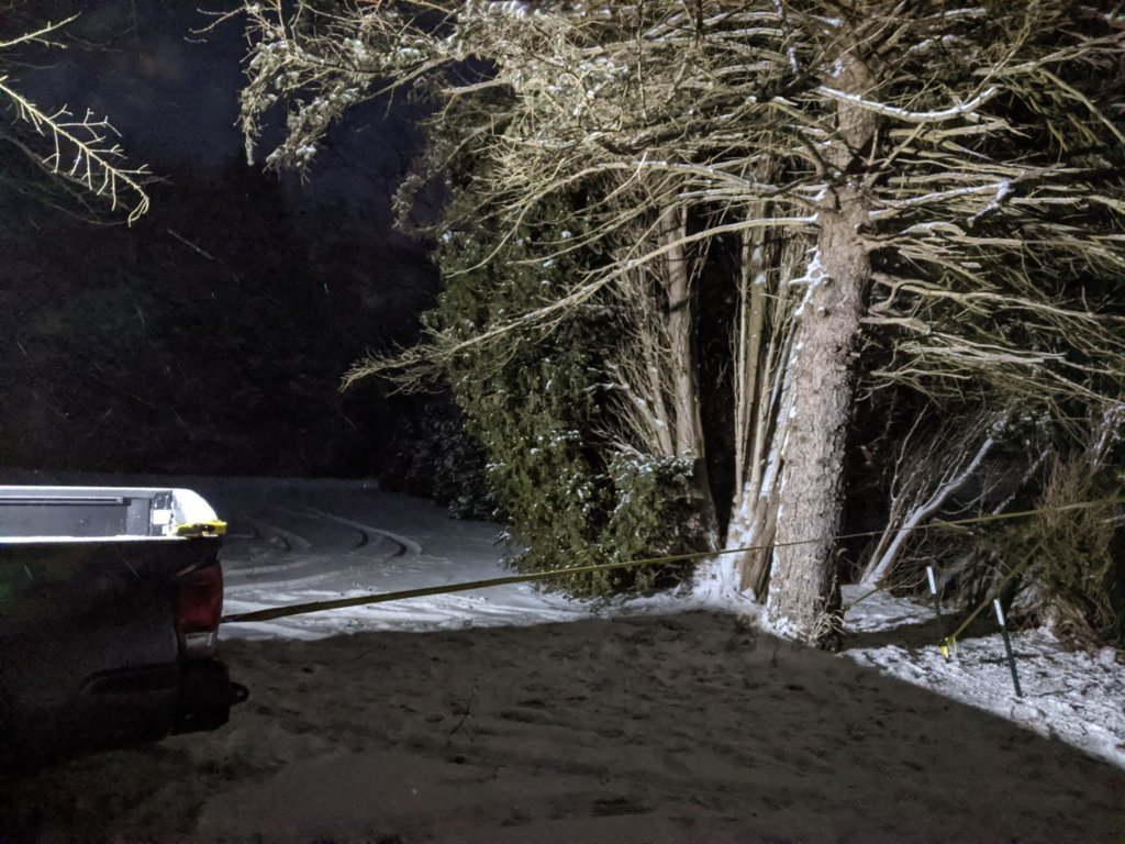 Lights on.jpg