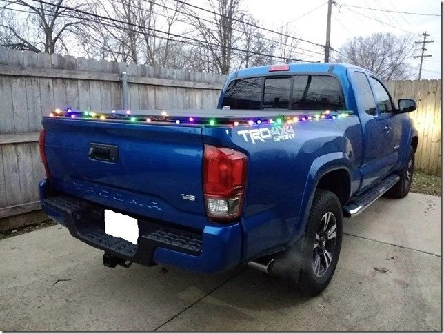 lights2.jpg