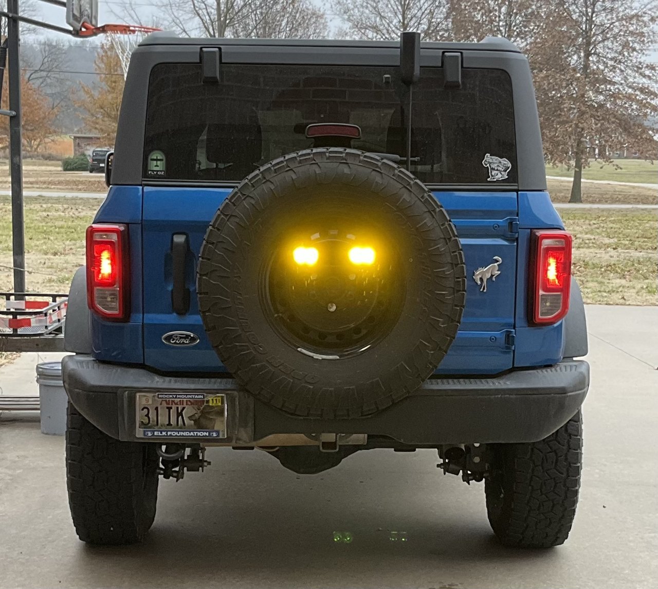 lights2.jpg