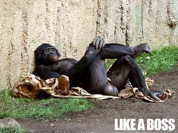 Like-A-Boss_c94dd47490033e7164966aa76b738c36dad1ca28.jpg
