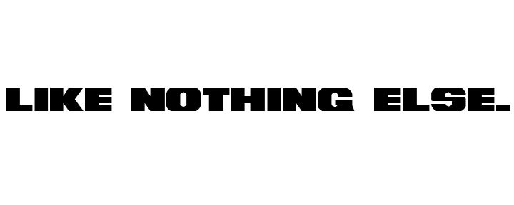 LIKE NOTHING ELSE - 9 INCH.jpg