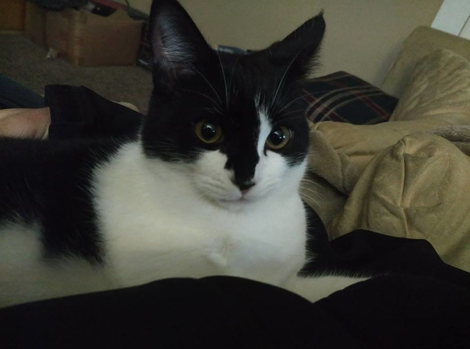 Lilah.jpg