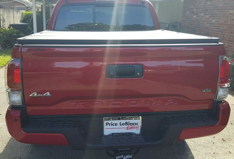 Limited Back Fender.jpg