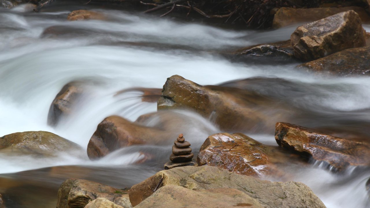 linnrun05181.jpg