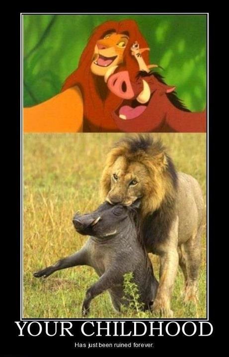 lion-king-meme.jpg