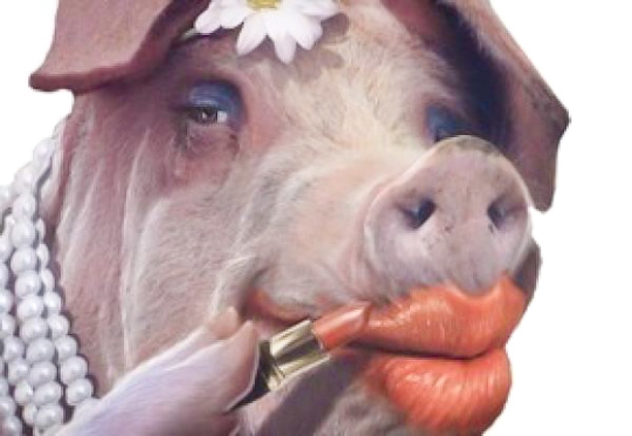 Lipstick-on-a-pig_2.jpg