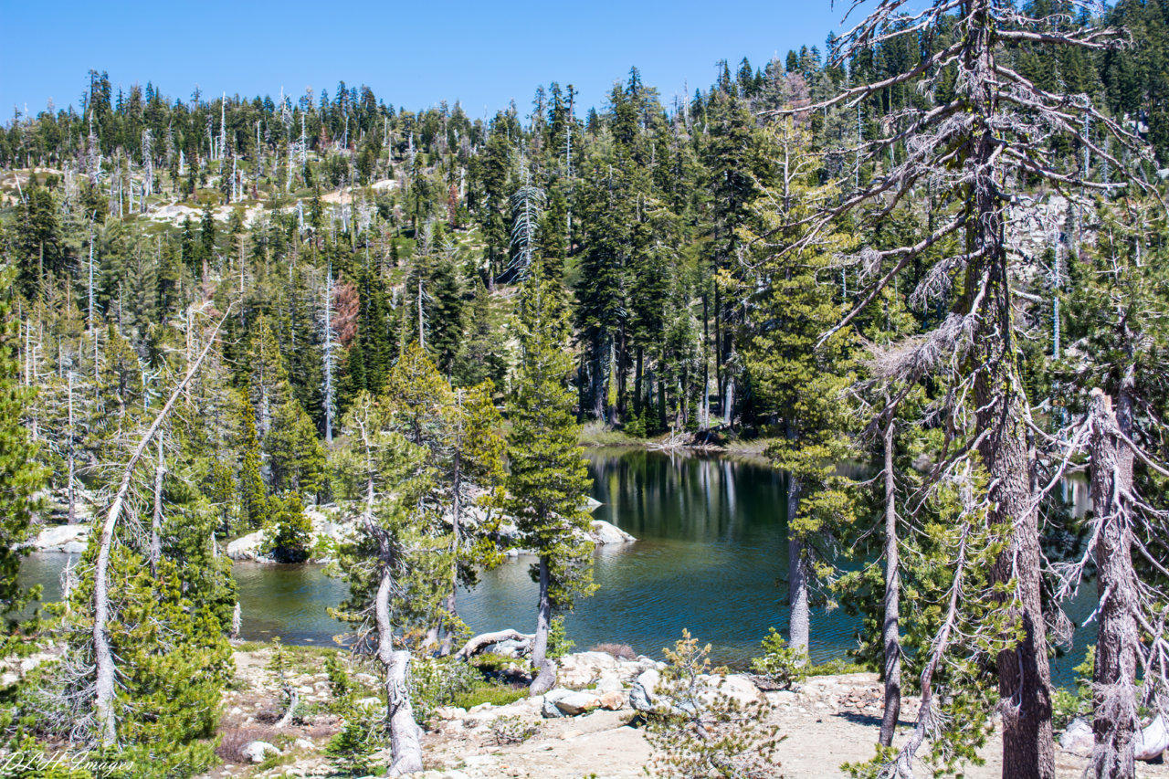 Little Deer Lake-0181.jpg