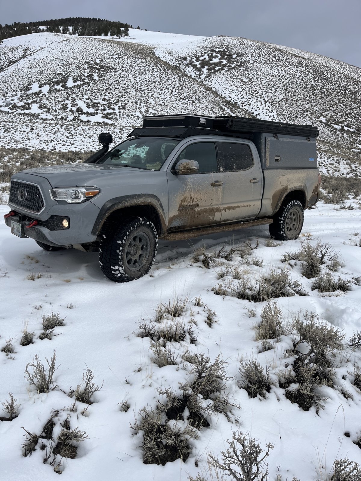 Little One in the snow.jpg