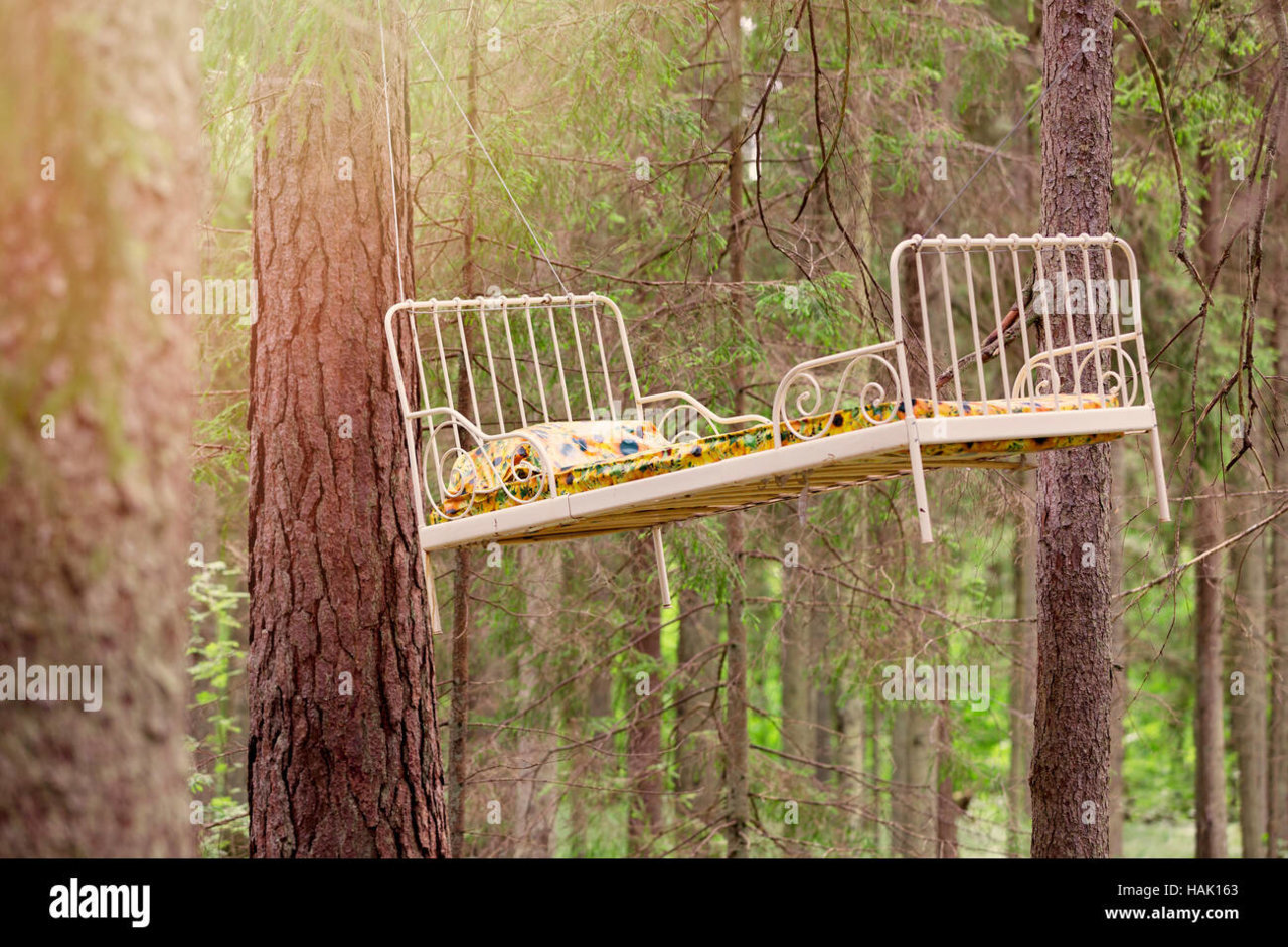 living-in-the-woods-bed-hanging-in-the-trees-HAK163.jpg
