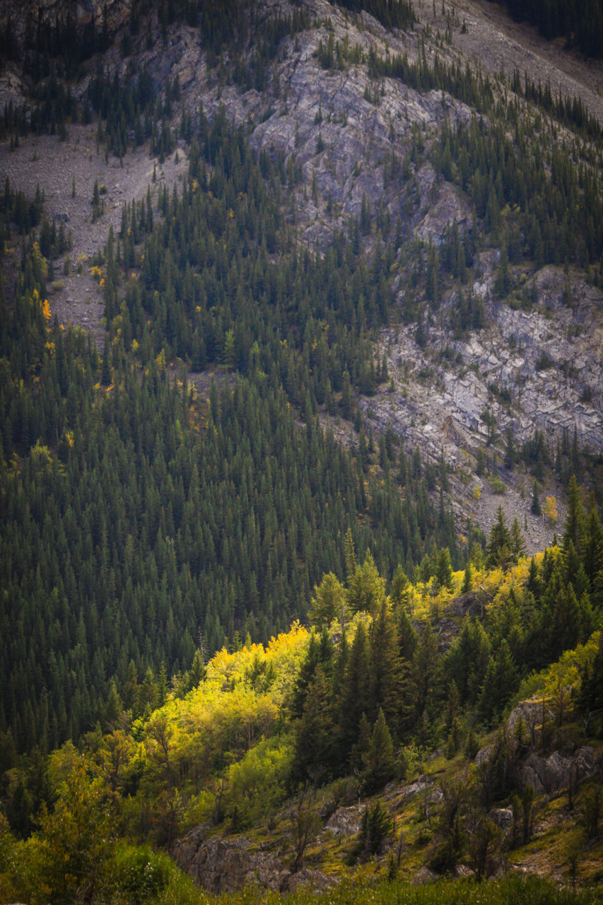 LIVINGSTONE PASS VERT (1 of 1).jpg