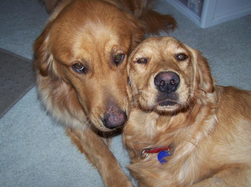 Livvy and Max.jpg