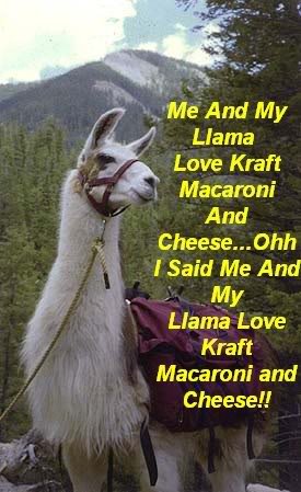 llama_d5ab1f12e21e567fdba4ff58f68e699dbe18ab80.jpg