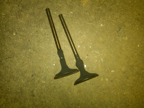 LLTvalves1_dc68ab8cfea3ae1d6e776e18a25141f05b72ed9e.gif